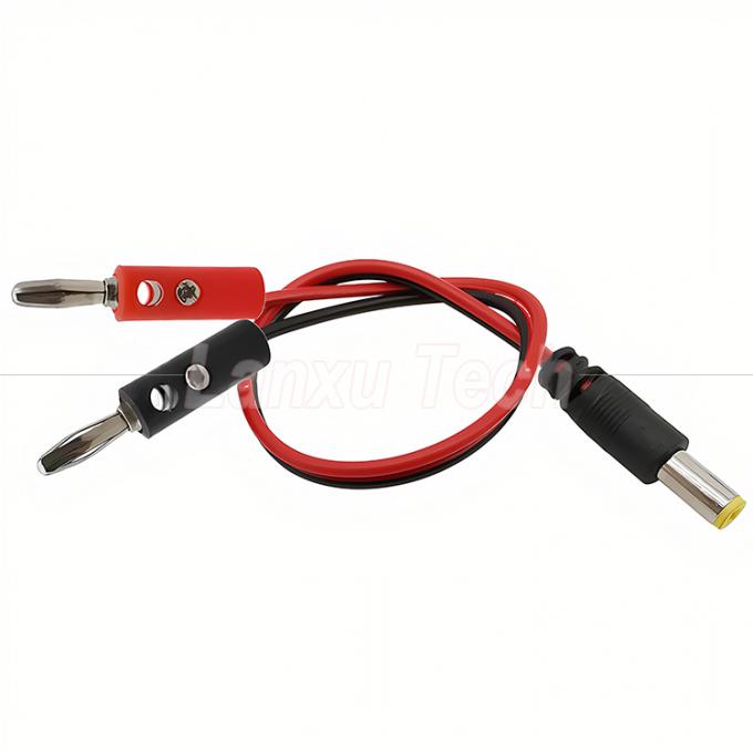 12v DC 5.5mm X 2.1mm Mannelijke vat Jack tot 4mm Banana Plugs Test Leads Power Cable 2